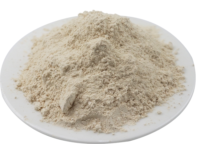 Brown rice protein powde.jpg